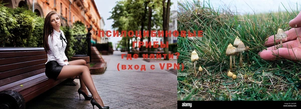 a pvp Фурманов