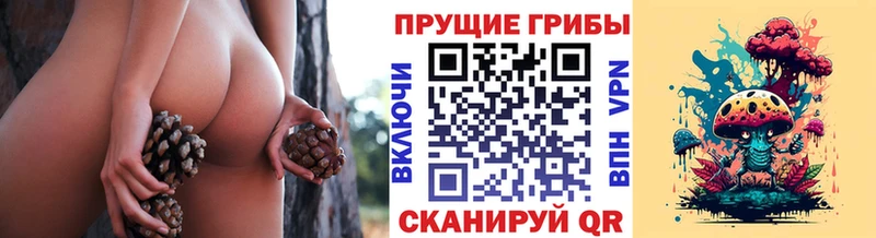 Псилоцибиновые грибы ЛСД  купить наркотик  Благовещенск 