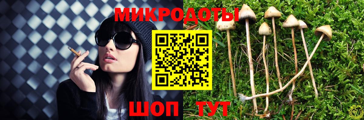 Галлюциногенные грибы Psilocybine cubensis Благовещенск